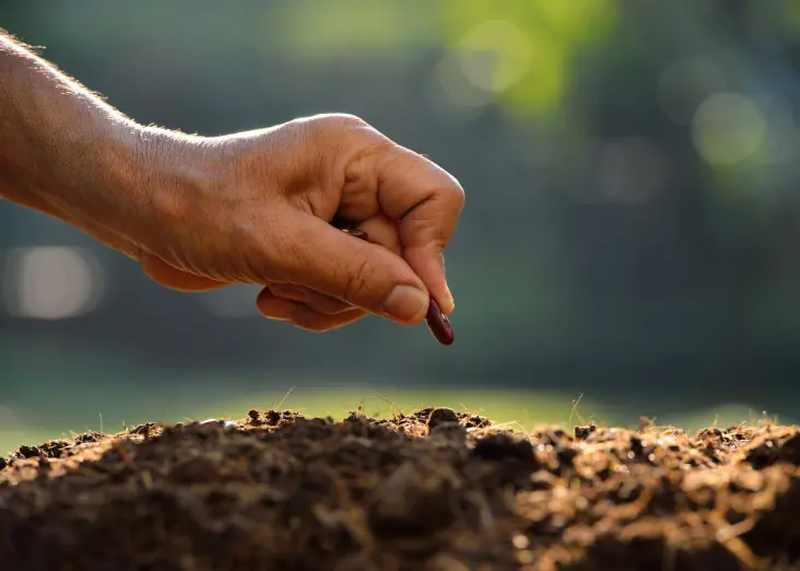 R.O. Plant Capacity 50-LPH to 50 m3/hr |  Paul Water Treatment Services